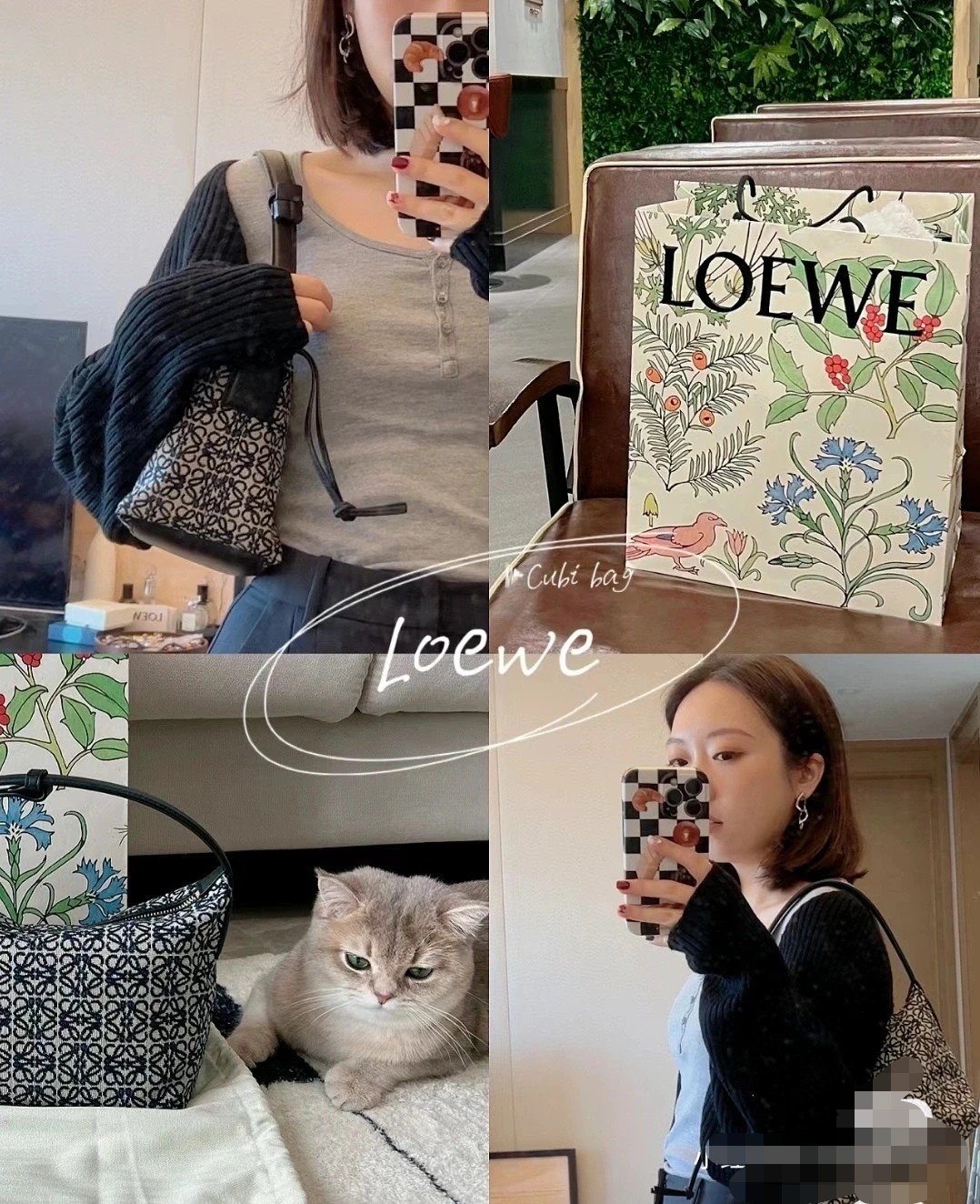 Loewe Cubi Bags